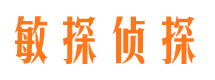 柳林侦探公司